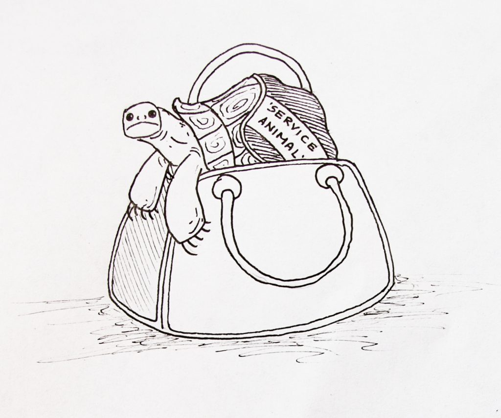 сумка с черепахой